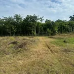 Bán đất 22.225m2 Ấp 1, Thanh Sơn, Định Quán, Đồng Nai giá 1,8 tỷ - Ảnh thu nhỏ 5
