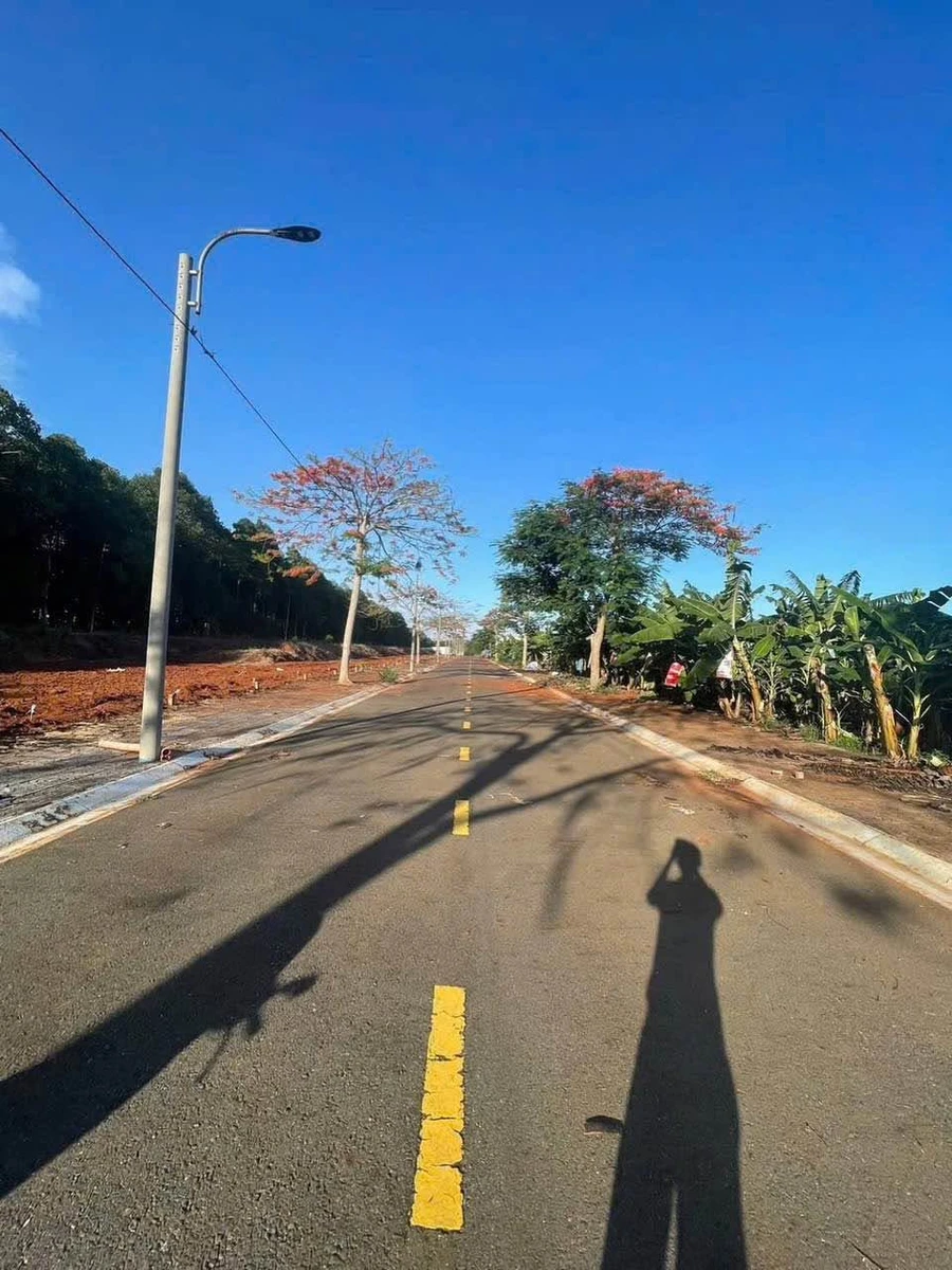 Bán đất Bà Rịa - Vũng Tàu 12.600m² giá 7x tỷ - Ảnh thu nhỏ 5