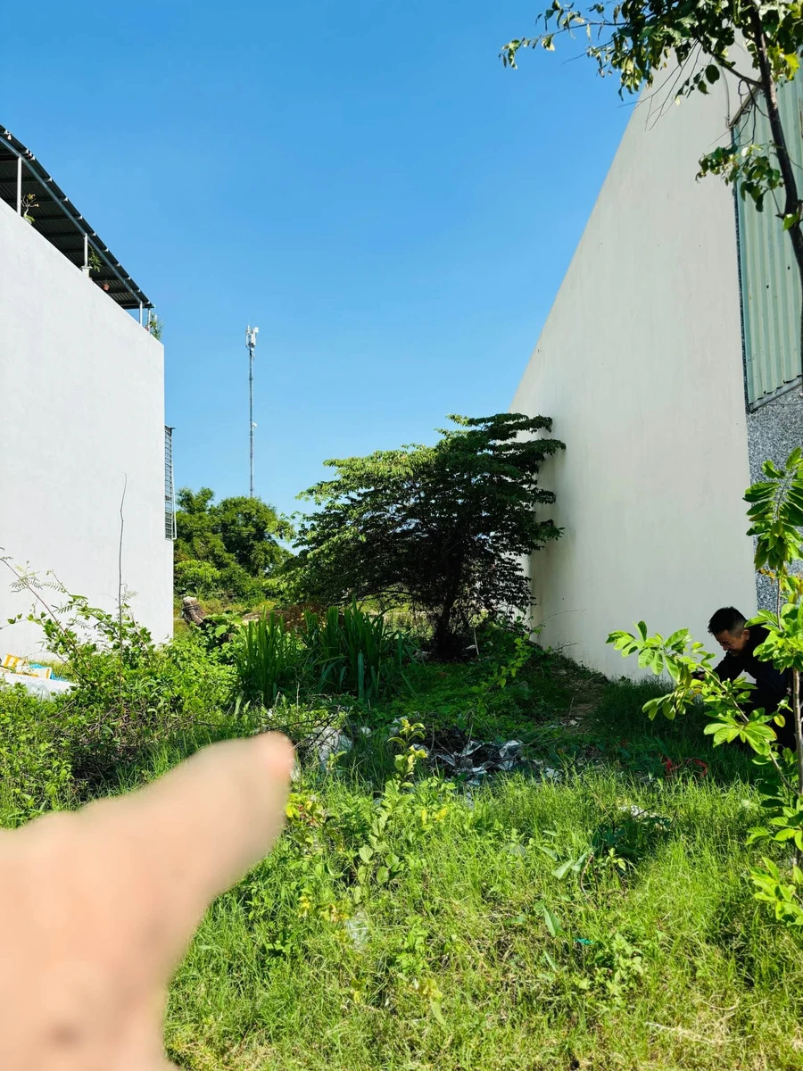 Bán đất mặt tiền đường nhựa 100m2 tại Nhơn Hưng, An Nhơn, Bình Định - Ảnh thu nhỏ 2
