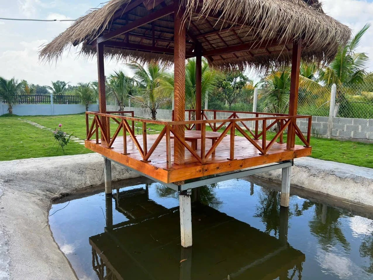 Nhà vườn view sông 1052m² 2 phòng ngủ Thạnh Lợi Tây Ninh - Ảnh thu nhỏ 5