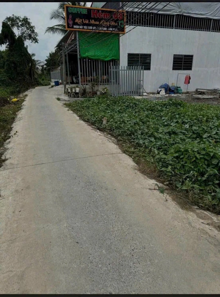 Bán 1000m² đất vườn mặt tiền ôtô Tây Ninh 2,3 tỷ - Ảnh thu nhỏ 2