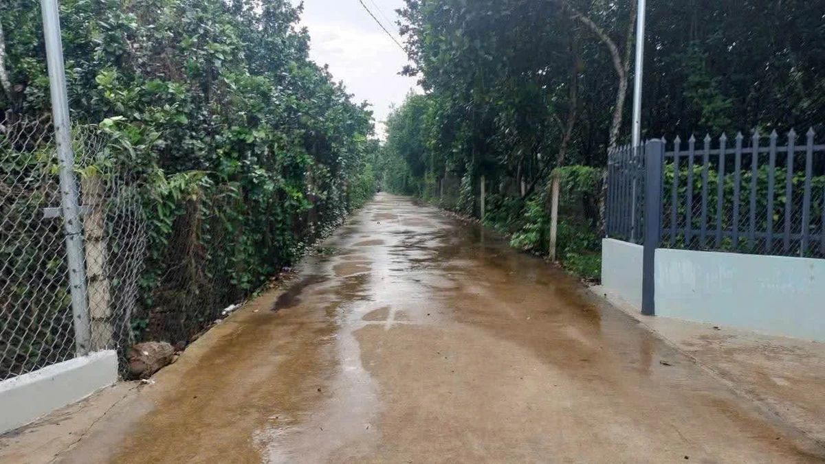 Bán nhà vườn 619m² Bảo Vinh Đồng Nai 780 triệu - Ảnh thu nhỏ 2