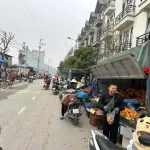 Đất nền dự án Hưng Hóa Tam Nông Phú Thọ, giá chỉ 1,6 tỷ, 85m2, đường vào rộng 24m, tiện xây dựng - Ảnh thu nhỏ 20