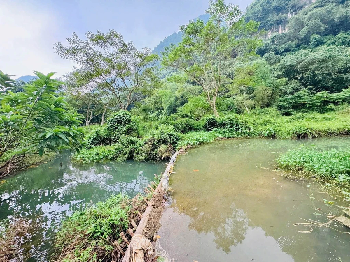 Bán đất bám suối view núi đá Hòa Bình 1.160m² - Ảnh thu nhỏ 5