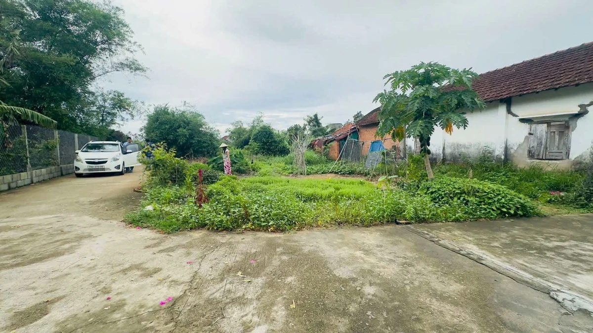 Bán lô góc 180m² Hoà Hiệp Bắc Đông Hòa 950 triệu - Ảnh 1