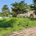 Bán đất mặt tiền Dầu Giây 5x27 = 135m2, 1.1 tỷ - Ảnh thu nhỏ 2