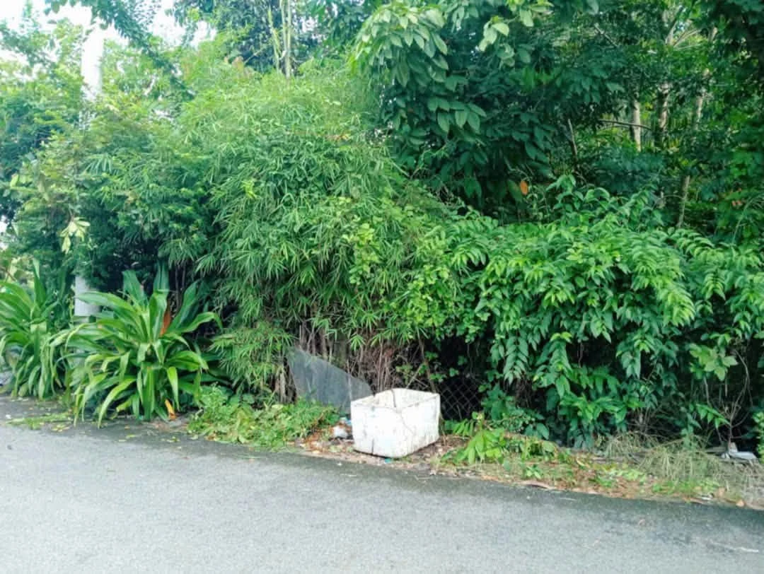 Bán lô đất 150m² đầu tư Phú An, Bình Dương 1 tỷ - Ảnh 1