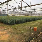 Bán đất 4000m² Hồ Than Thở, Đà Lạt 26,9 tỷ - Ảnh thu nhỏ 3