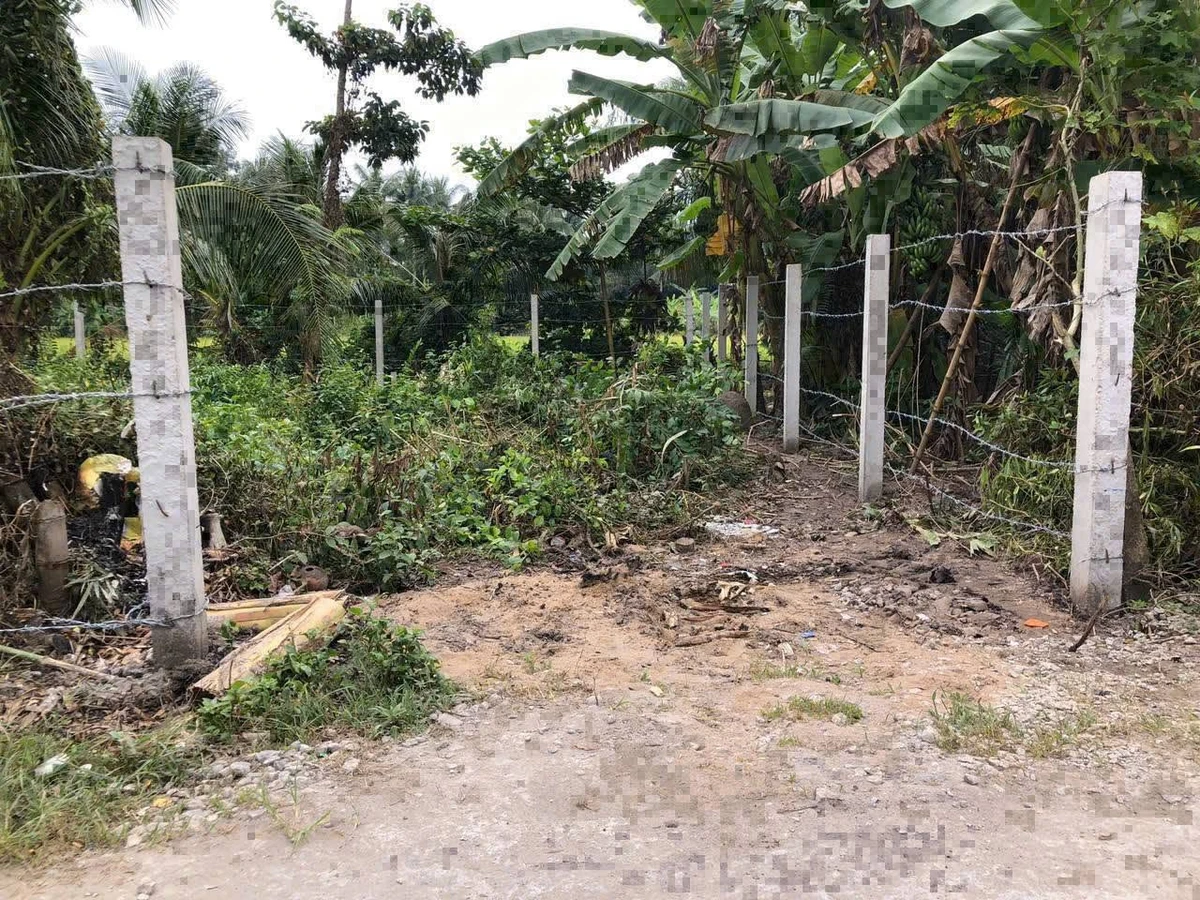Bán đất thổ cư 6x19m đường nhựa gần chợ Sâm Bua, xã Song Lộc, Trà Vinh - Ảnh thu nhỏ 3