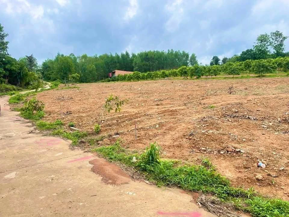 Bán nền đất 175m2, mặt tiền bê tông tại Định Quán, Đồng Nai - Ảnh thu nhỏ 3