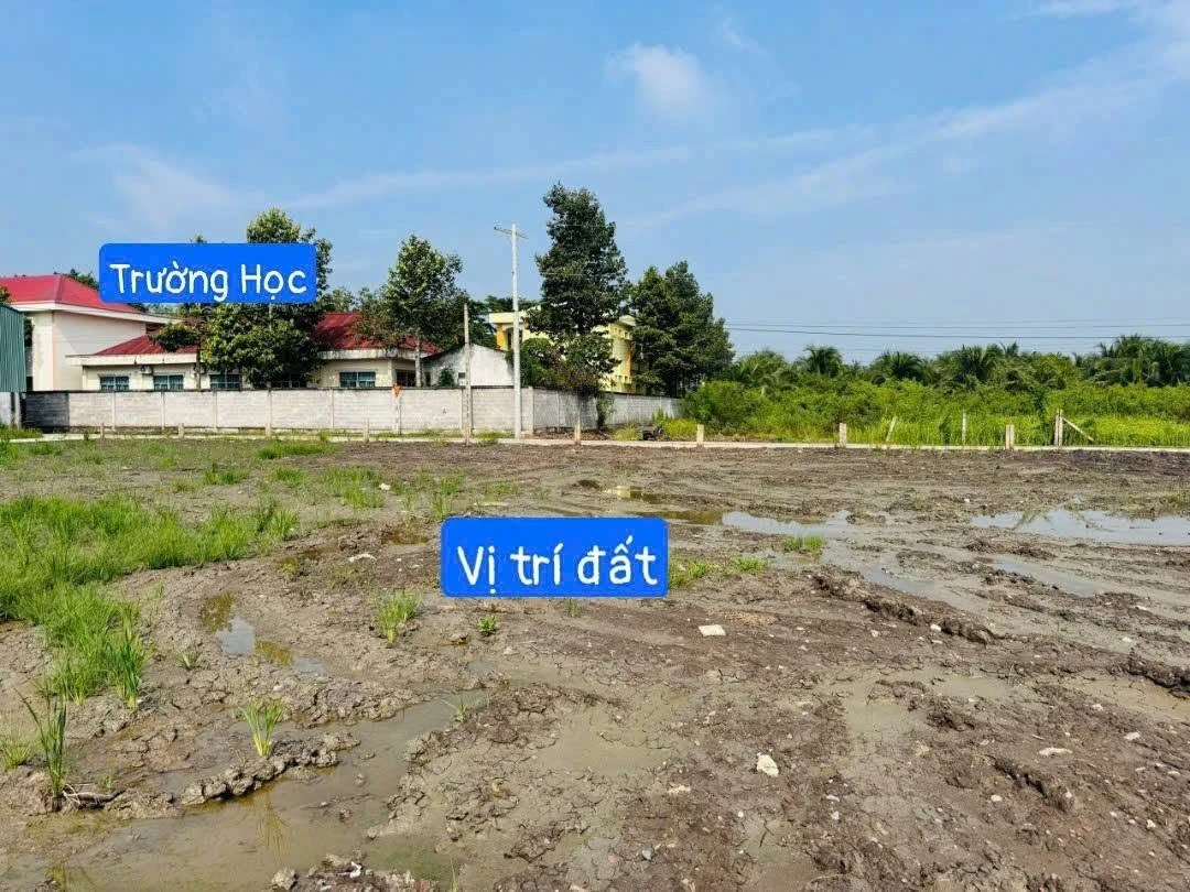 Bán đất nền 5x31m (155m²) Xã Đức Tân Tây Ninh gần trường học - Ảnh thu nhỏ 3