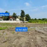 Bán đất nền 5x31m (155m²) Xã Đức Tân Tây Ninh gần trường học - Ảnh thu nhỏ 3