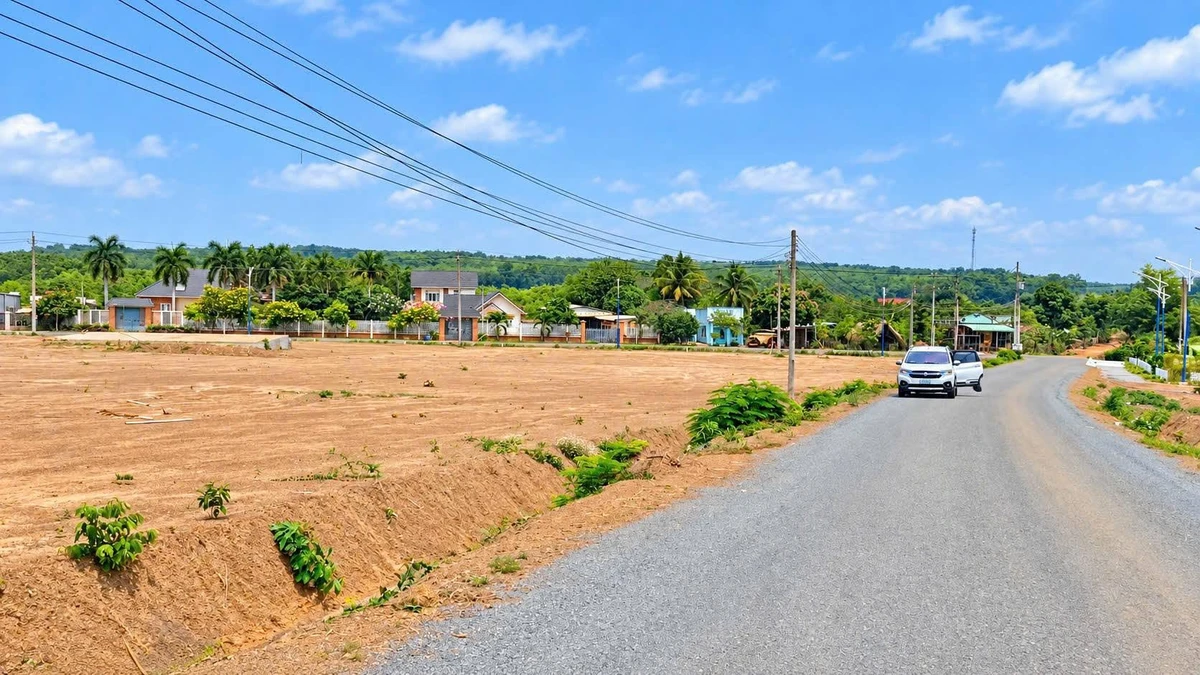 Bán đất sào 1000m2 sổ riêng tại Lộc Ninh, Bình Phước, giá dưới 200 triệu - Ảnh thu nhỏ 3