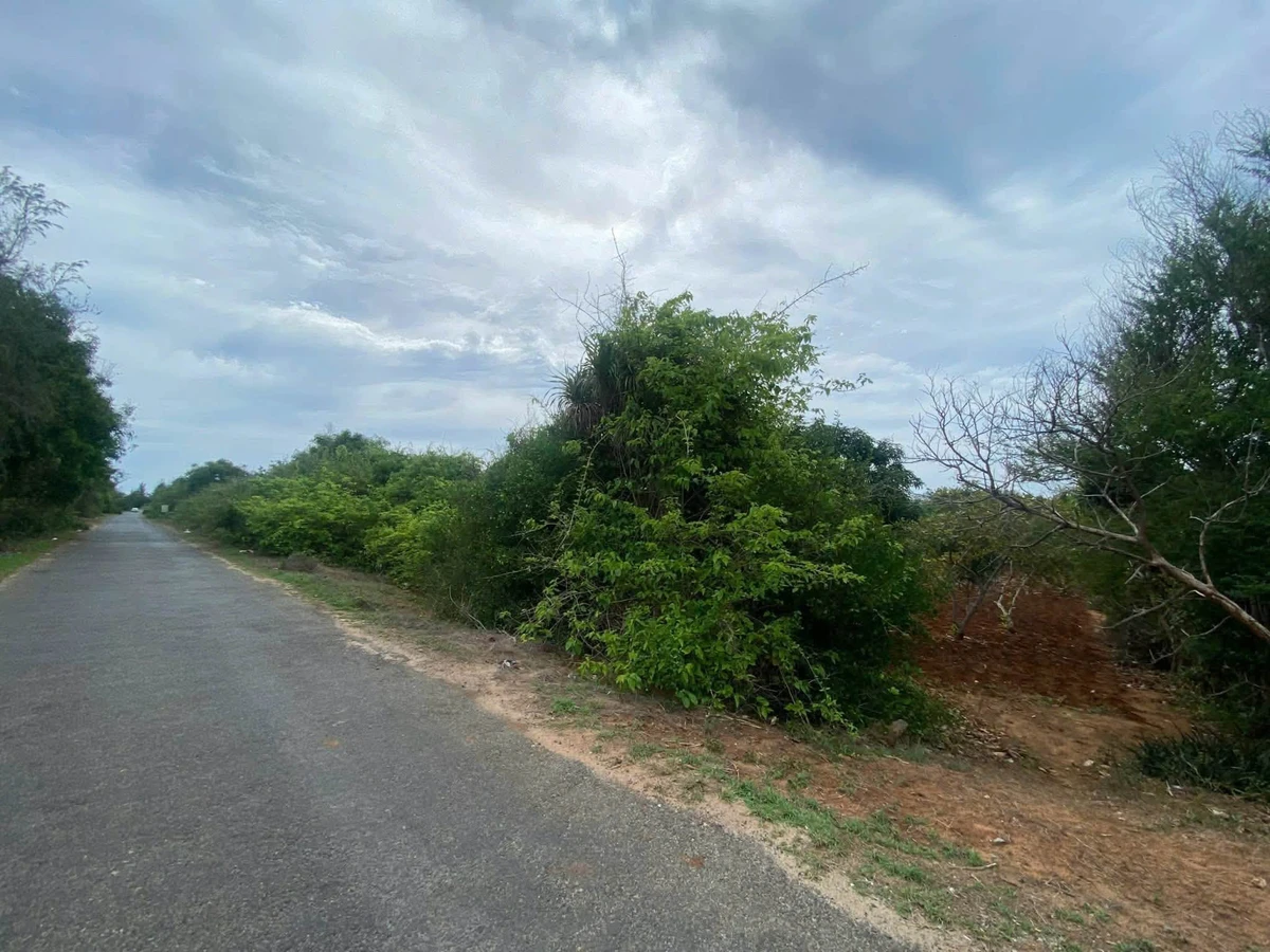 Bán đất nông nghiệp mặt tiền Tôn Đức Thắng Phú Quý 1521m² - Ảnh thu nhỏ 4