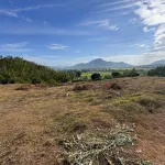 Văn Thủy 2 Cam An Khánh Hòa | hơn 5.000m2 | chỉ 150 triệu/sào - Ảnh thu nhỏ 17
