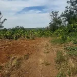 Bán đất 500m2 giá 850 triệu Eakam Bình Chánh - Ảnh thu nhỏ 2