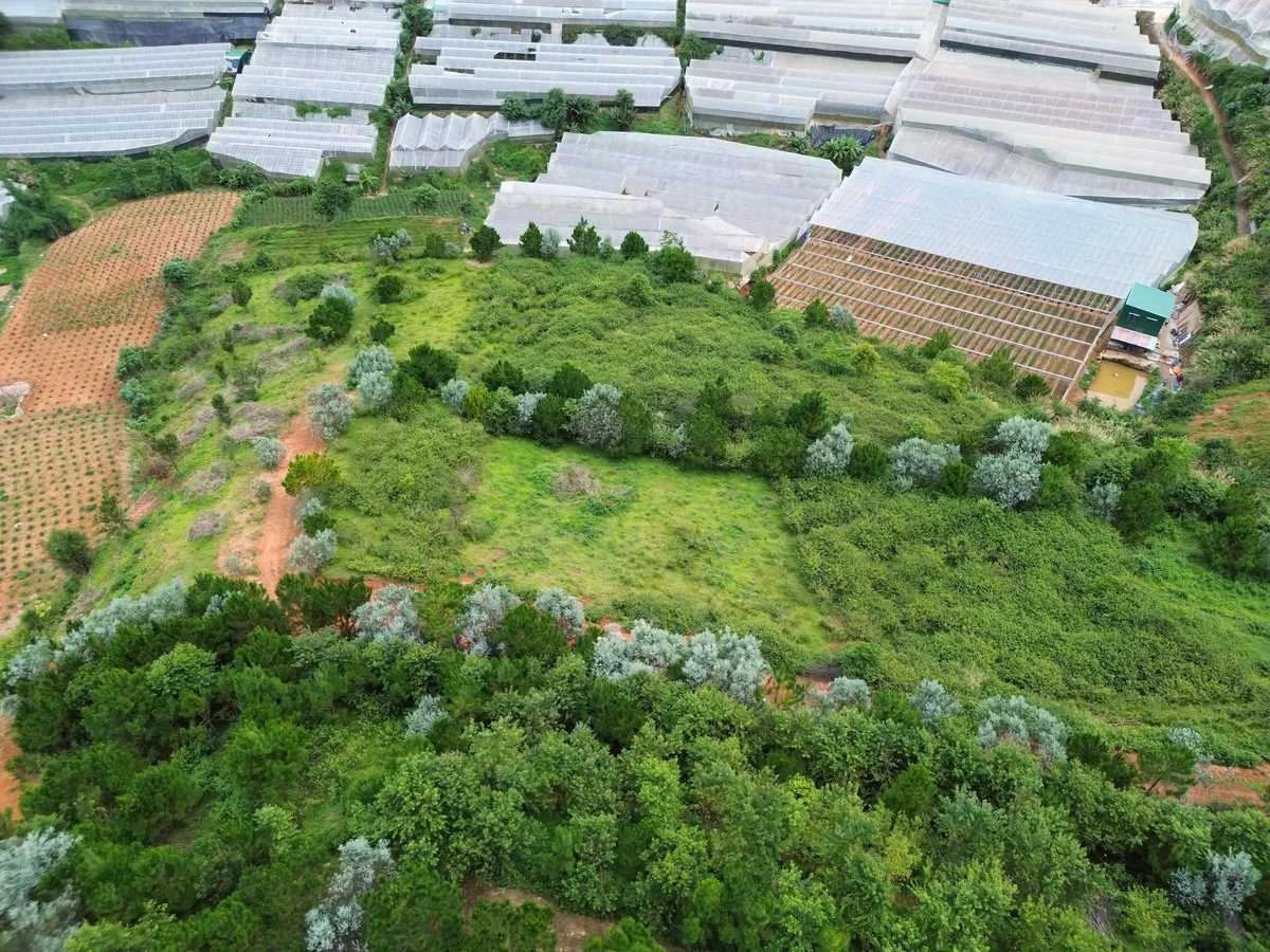 Bán đất view săn mây Lạc Dương 534m² - 2 tỷ 3 - Ảnh thu nhỏ 2