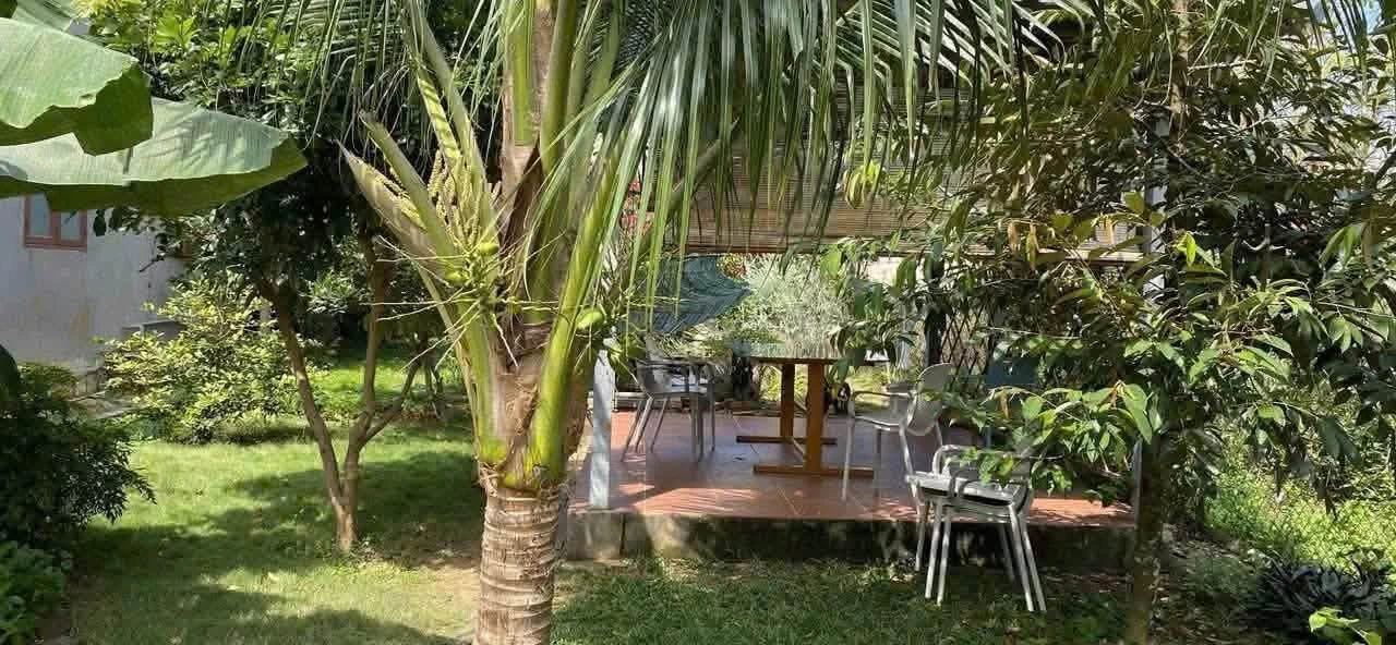 Cho thuê nhà sân vườn 300m², 2PN ở Hòa Long, Bình Dương - Ảnh 1