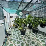 Bán nhà 5 tầng 50m² 5PN 6WC Nguyễn Văn Đậu Bình Thạnh - Ảnh thu nhỏ 5