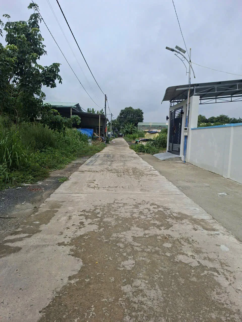 Bán đất 280m² Nhánh Nhựa Tô Hiến Thành, Thủ Đức, 9 tỷ - Ảnh 1