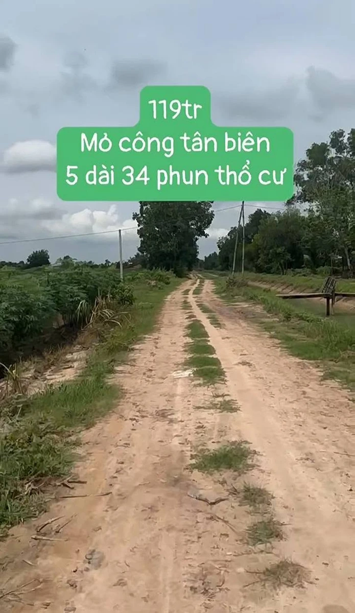 Bán đất thổ cư 170m² Mỏ công Tây Ninh 119 triệu - Ảnh thu nhỏ 3