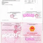 Chính chủ gửi bán lô đất 3 mặt tiền 389,9m2 siêu đẹp đường Trương Pháp Đồng Hới Quảng Bình 37.999tỷ - Ảnh thu nhỏ 8