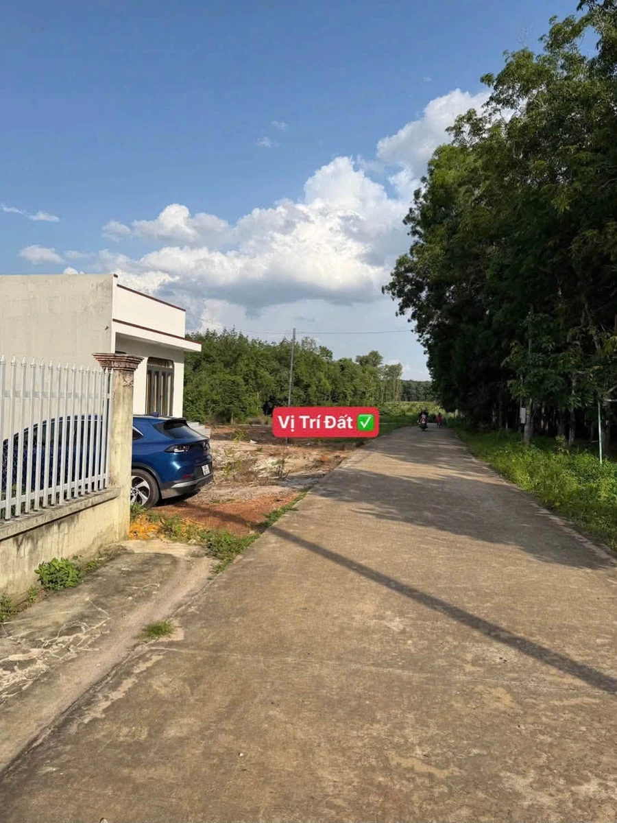 Bán đất mặt tiền 10m x 49m Minh Thắng 860 triệu - Ảnh thu nhỏ 2