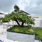 Bán nhà vườn 652 m2 gần TL9 khu Cát Tường Phú Sinh 6.5 tỷ - Ảnh thu nhỏ 2