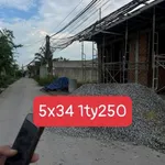 Bán đất xây trọ 5x34m (170m²) 1 tỷ 250 triệu Đức Hòa, Long An - Ảnh thu nhỏ 3