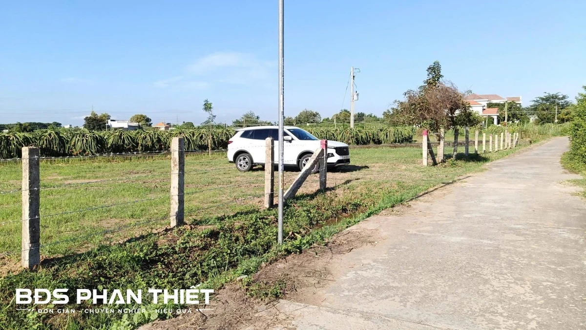 Bán đất vườn Bình Thuận 732 m², 750 triệu - Ảnh thu nhỏ 4