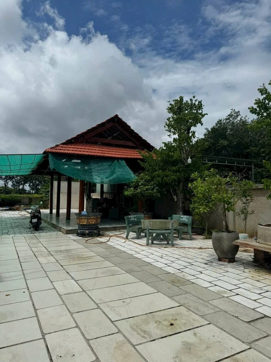 Bán đất vườn mặt tiền 493m2 Tân Hiệp, Tân Uyên 3,3 tỷ - Ảnh thu nhỏ 4