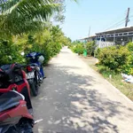 Bán nền 10x68m mặt tiền Lộ Đan, Phước Long, Cà Mau - Ảnh thu nhỏ 4