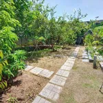 Bán nhà vườn 620m² Phường Bửu Long Thủ Đức - Ảnh thu nhỏ 4
