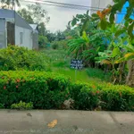Bán nền đất ngang 8m dài 30m tại Kiên Giang 240m² - Ảnh thu nhỏ 1