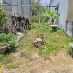 Bán lô đất 97m² Phường Lái Thiêu Thủ Đức - Ảnh thu nhỏ 2