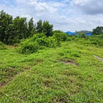 Bán đất 4.200m2 giá 4,2 tỷ gần Trường Nghề Hòa Bình, Hố Nai Mới, Đồng Nai - Ảnh thu nhỏ 5