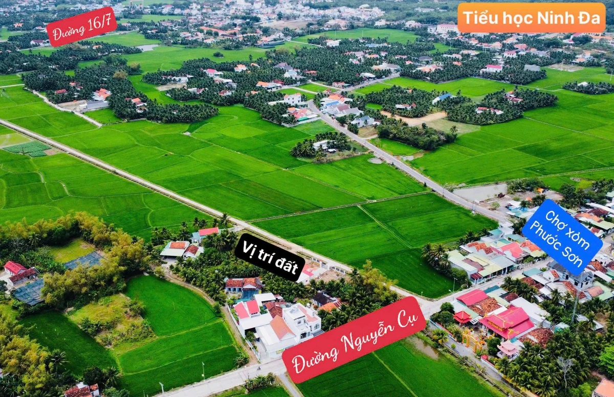 Bán đất 81.9m² đường Nguyễn Cụ Ninh Hoà 260 triệu - Ảnh thu nhỏ 3
