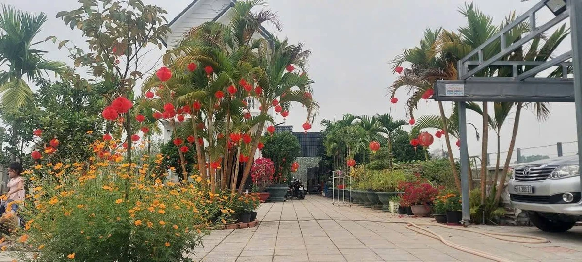 Bán biệt thự mặt tiền Đỗ Đăng Tuyển Củ Chi, 925m², 9.5 tỷ - Ảnh thu nhỏ 5