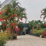 Bán biệt thự mặt tiền Đỗ Đăng Tuyển Củ Chi, 925m², 9.5 tỷ - Ảnh thu nhỏ 5