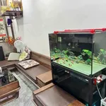 Bán nhà phố 64m2, 3 tầng, 3 phòng ngủ Hải Phòng 3,1 tỷ - Ảnh thu nhỏ 2