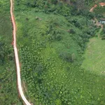 Bán đất 11.000m² (1,1ha) Lộc Thành Bảo Lộc 3,3 tỷ đồng - Ảnh thu nhỏ 3