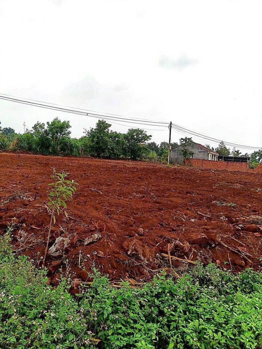 Bán đất Phú Xuân Krong Năng Đắk Lắk 79m2 - Ảnh 1