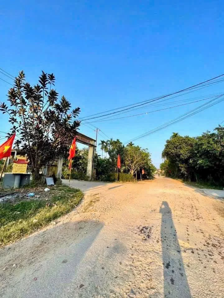 Bán 1200m² đất trồng cây lâu năm Huế - 139 triệu - Ảnh 1