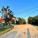 Bán 1200m² đất trồng cây lâu năm Huế - 139 triệu - Ảnh thu nhỏ 1