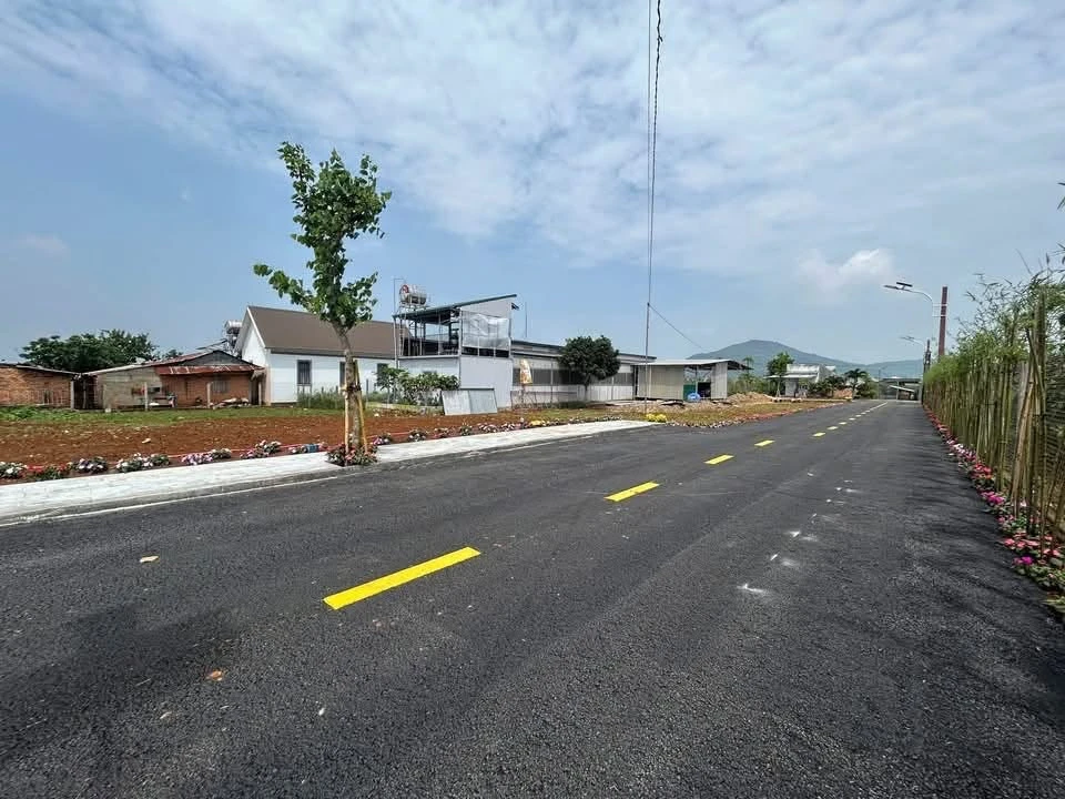 Bán đất 135m² gần sân bay Liên Khương, Đà Lạt - Ảnh thu nhỏ 2