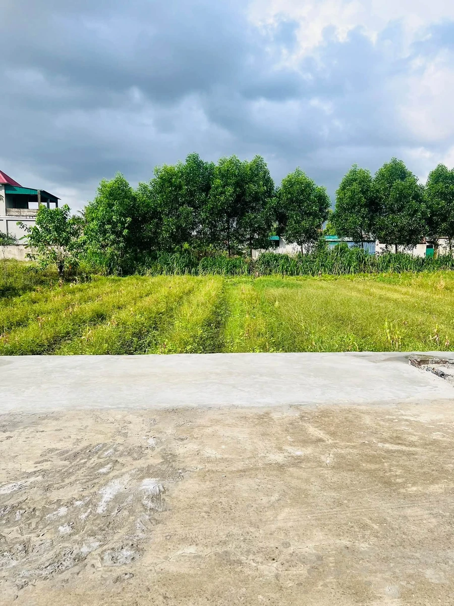 Bán lô đất 110m2 mặt tiền 7m gần UB nghị trường - Ảnh thu nhỏ 2