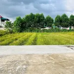 Bán lô đất 110m2 mặt tiền 7m gần UB nghị trường - Ảnh thu nhỏ 2