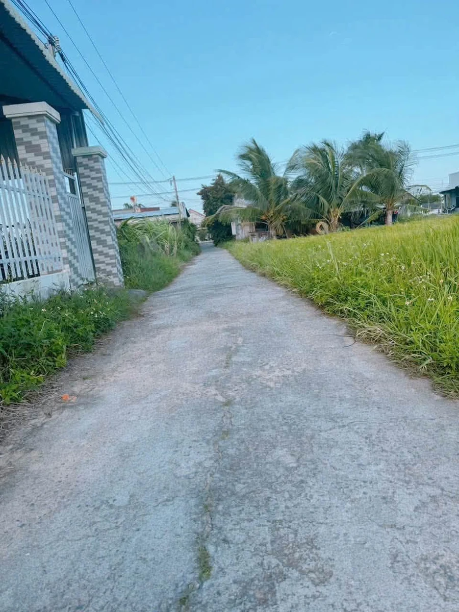 Bán lô đất 1000m2 tại Phường Hàm Thắng, Phan Thiết, 1,15 tỷ - Ảnh thu nhỏ 2