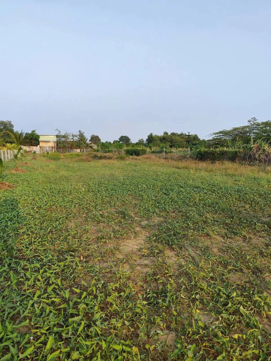 Bán lô đất vườn 1400m² Xã Bình Chánh, 5.2 tỷ - Ảnh thu nhỏ 3