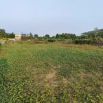 Bán lô đất vườn 1400m² Xã Bình Chánh, 5.2 tỷ - Ảnh thu nhỏ 3